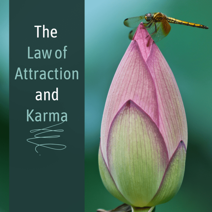Learn how the Law of Attraction relates to paying off Karmic debts.