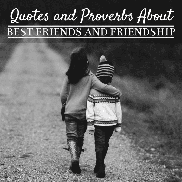 Our friends are among the most important people in our lives. The quotes on this page encapsulate the importance of the bond that exists between close friends.