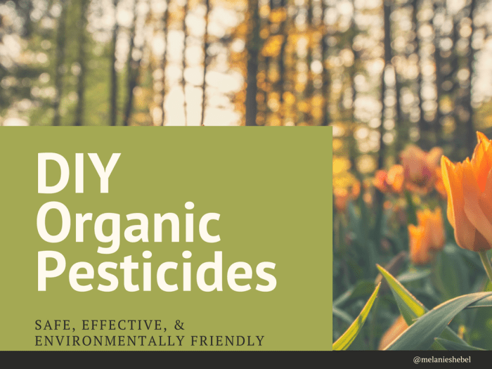 homemade-pesticides