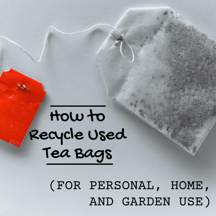 Green and Frugal Ways to Recycle Used Tea Bags - ToughNickel