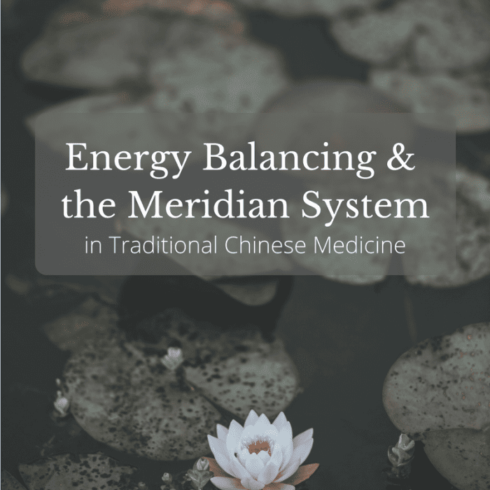 the-guide-to-the-12-major-meridians-of-the-body