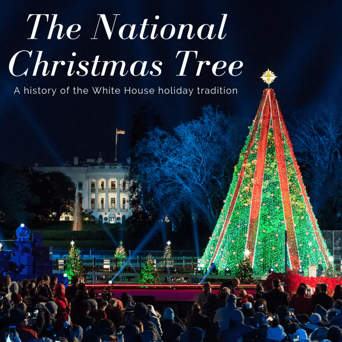 The National Christmas Tree at the White House Holidappy