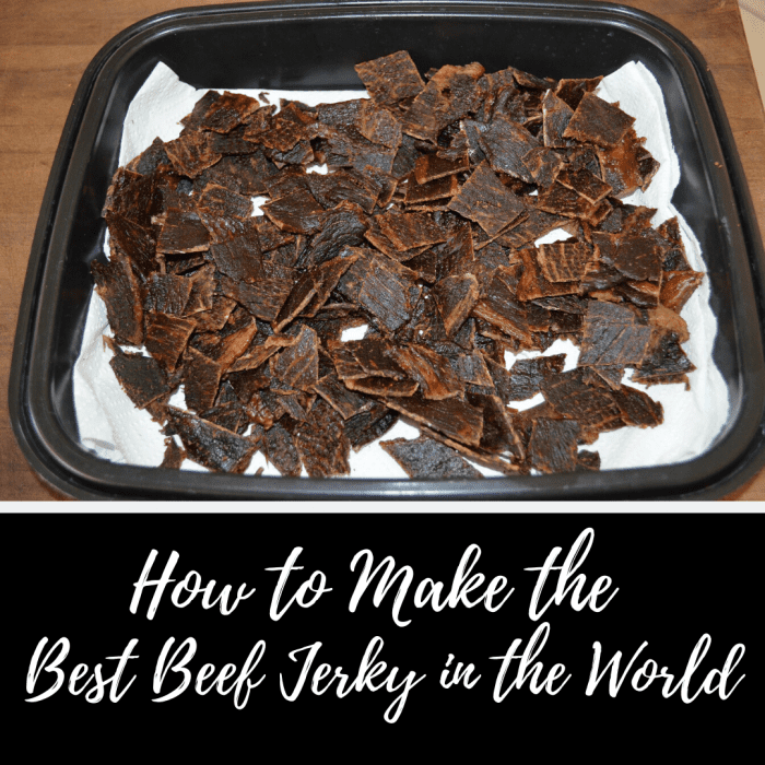 How to Make the Best Beef Jerky in the World Delishably