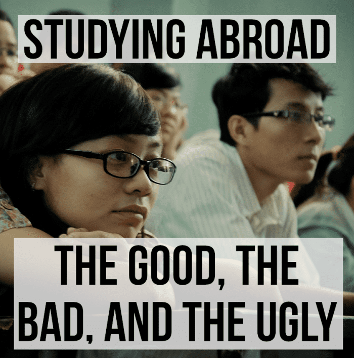 Advantages And Disadvantages Of Studying Abroad Owlcation