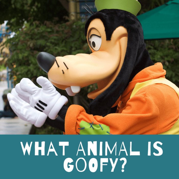 What is Goofy? Dog or cow? The truth about Walt Disney's Goofy cartoon character.
