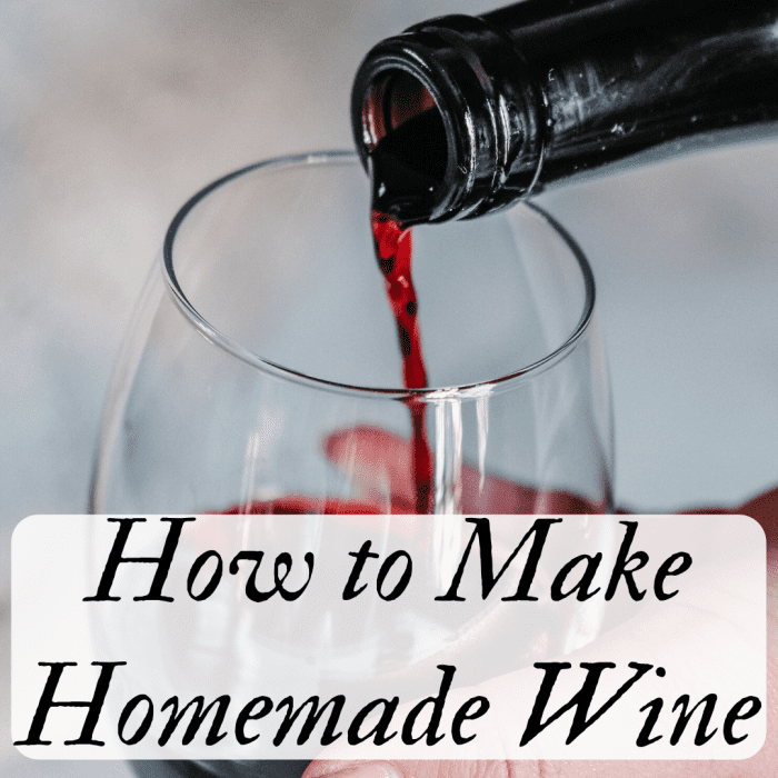 How to Make Easy Homemade Wine (Red or White) - Delishably