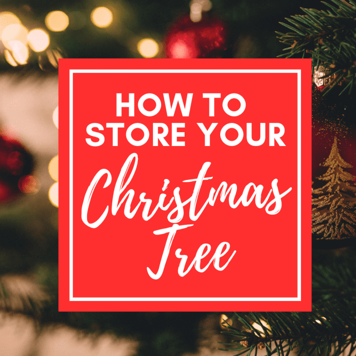 How to Get a Christmas Tree Back in the Box Holidappy
