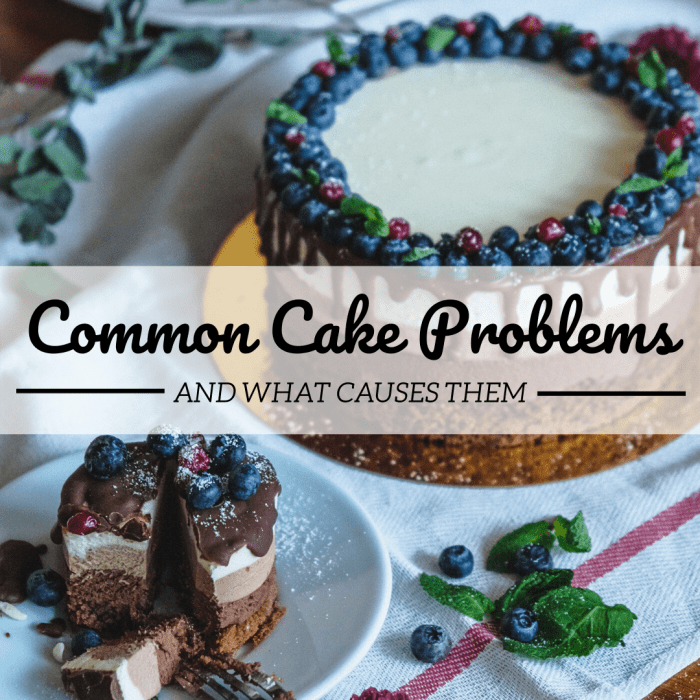 There are many things that can go wrong when baking a cake. Learn how to identify and avoid these 10 common missteps.