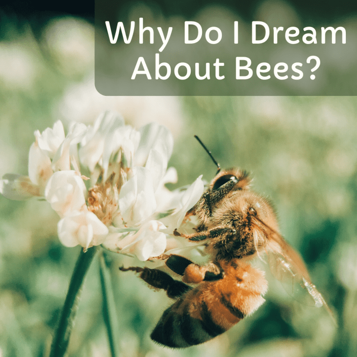 The Possible Meanings of Dreams About Bees - Exemplore