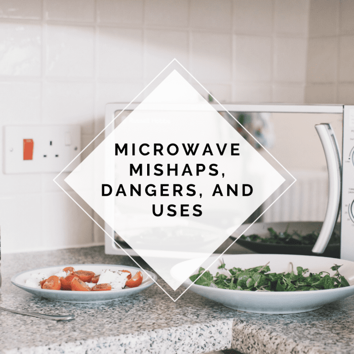 Microwave Mishaps, Dangers, and Uses Delishably