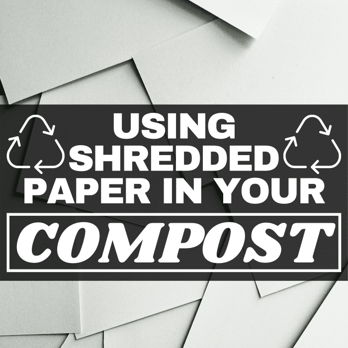 het zal u misschien verbazen wat versnipperd papier voor uw compost kan betekenen.