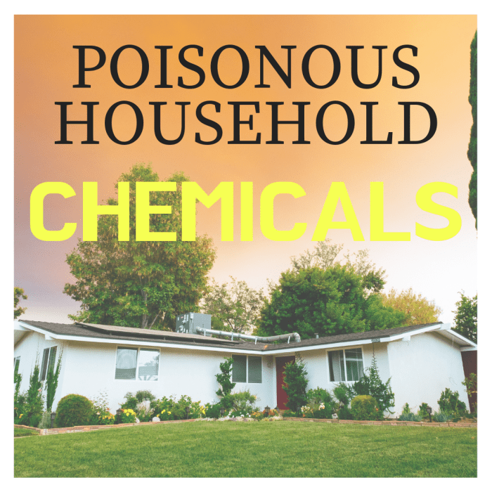 Poisonous Substances Found at Home Dengarden Home and Garden