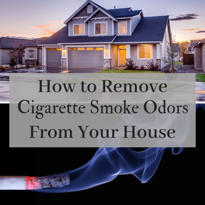 How to Get the Cigarette Smoke Smell Out of Your House: A Step-by-Step - How To Get A Smoke Smell Out Of Your House