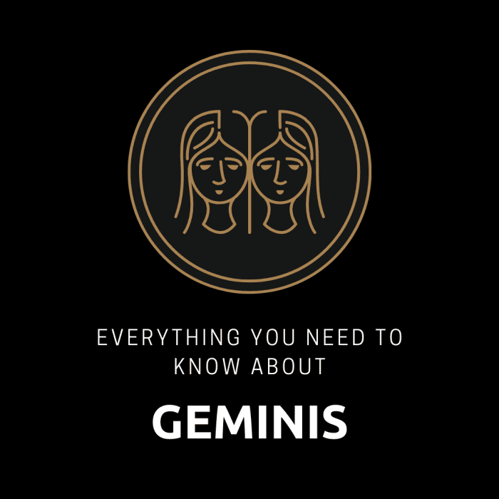 Everything You Wanted to Know About the Gemini Personality Exemplore