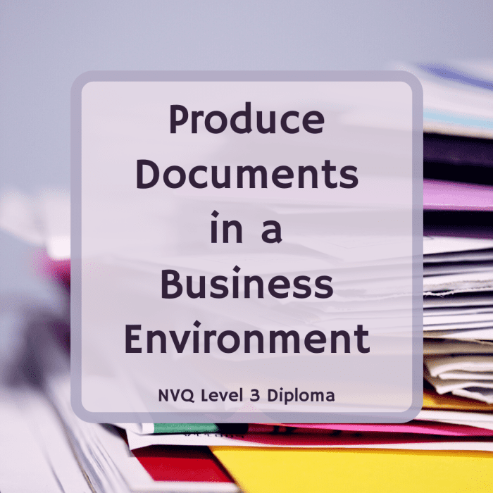 NVQ Level 3 Produce Documents in a Business Environment ToughNickel
