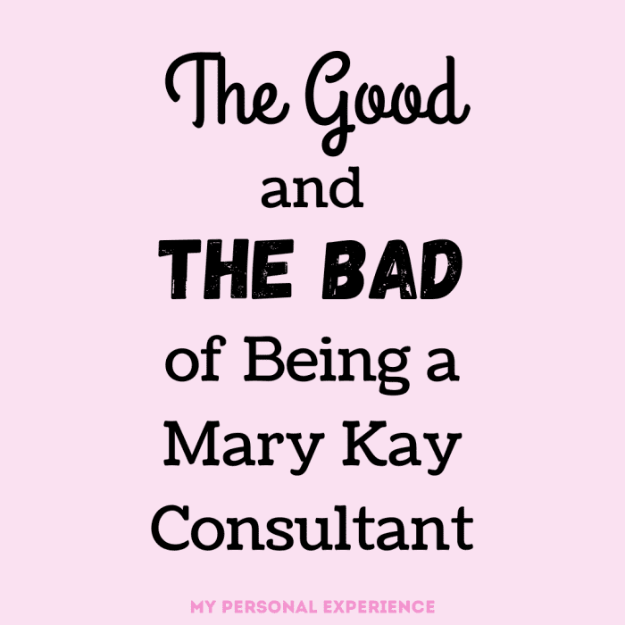 Read about my personal journey as a Mary Kay Consultant and the positive and negative experiences I had.