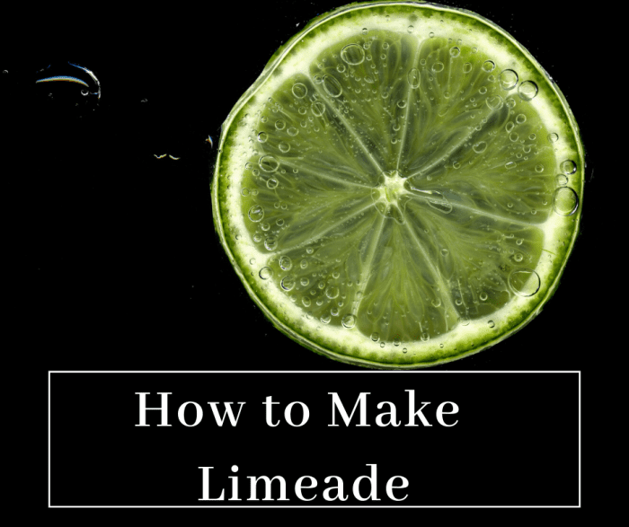 How to Make the Best Key Limeade Easy Recipes Delishably