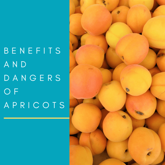 Apricot Fruits and Kernels: Potential Benefits and Dangers - Delishably