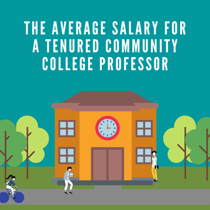 Average Salary For A Tenured Community College Professor ToughNickel