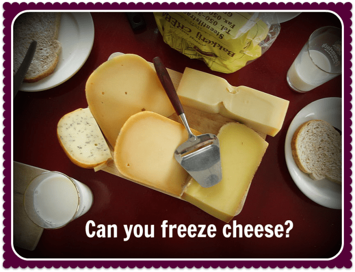 Can You Freeze Cheese A Taste Test Experiment Delishably