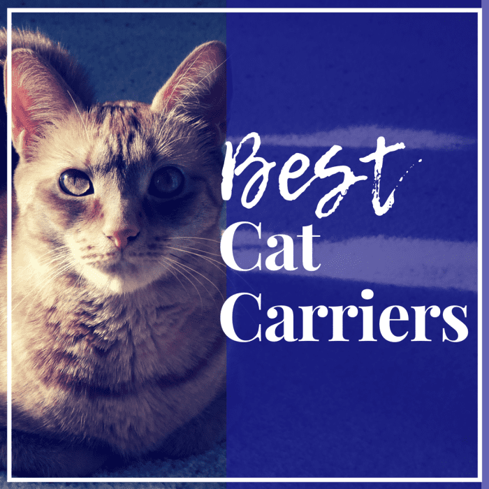 The Best Cat Carriers for Car or Plane Travel (Short and Long Trips