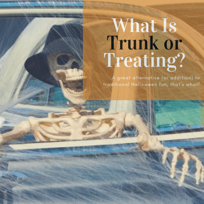 A cobweb-covered skeleton leaning out the window makes for a simple but fun trunk or treat decoration!