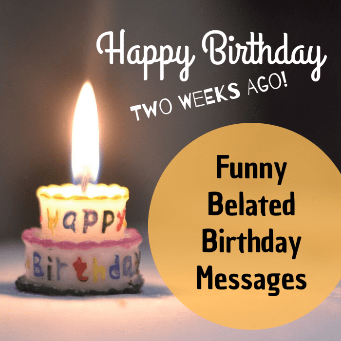 Oops—did you miss someone's birthday? Find a funny message to send them and wish them a very late and very happy birthday anyway!