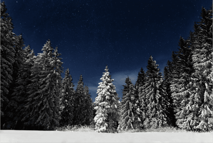 What makes Christmas in Scotland so special? From good cheer to traditional eats, you can't go wrong with a Scottish holiday.
