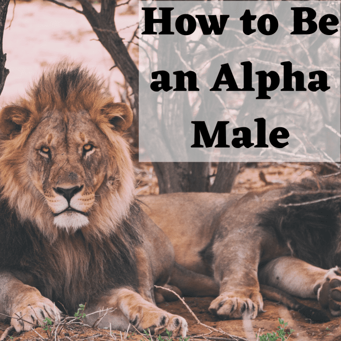 Learn the characteristics and traits that are exhibited by true alpha males, and you too can be the leader of your pack.