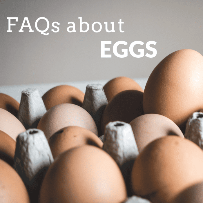 What is the difference between brown and white eggs? Yellow and orange yolks? How can you tell an egg is fresh, fertile, or free-range? These and many more answers await!