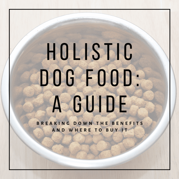 This article will break down just what holistic dog food is, what its benefits are, and where you can purchase it.