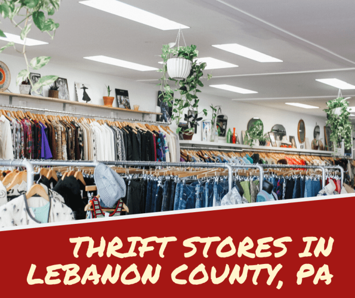 Read on to learn which of these Lebanon, PA thrift stores is best for you.
