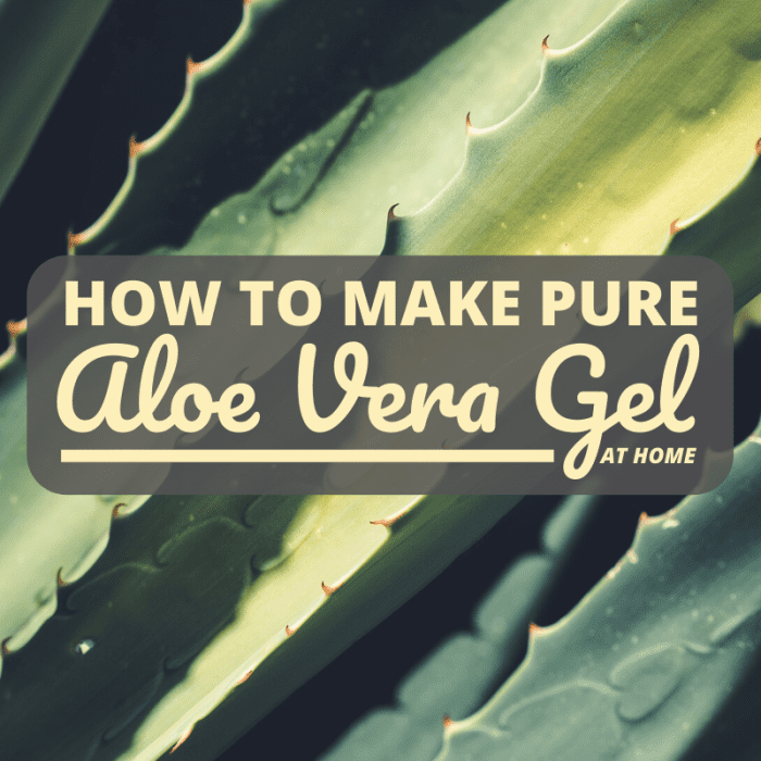 You can make healthy, hydrating Aloe vera gel in your own kitchen in just minutes.