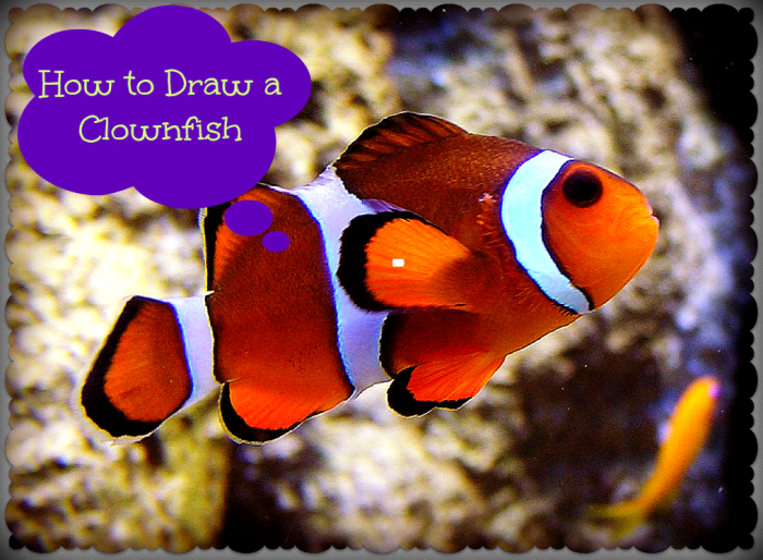 How to draw a clown-fish with step-by-step instructions