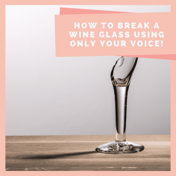 Learn how to safely break a wine glass using only the power of your voice. It's a fun and exciting trick that everyone will enjoy.