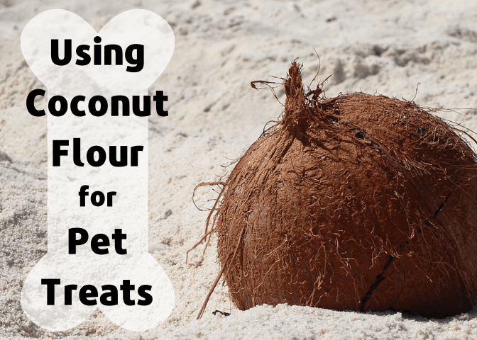 Is coconut flour truly safe for dogs? Coconut flour can be a nutritious alternative to wheat or corn in pet treats.