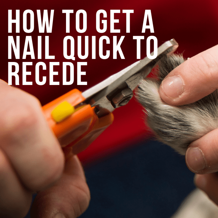 How to Get a Nail Quick to Recede