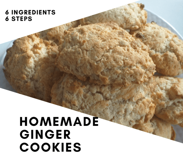 Homemade Ginger Cookies
