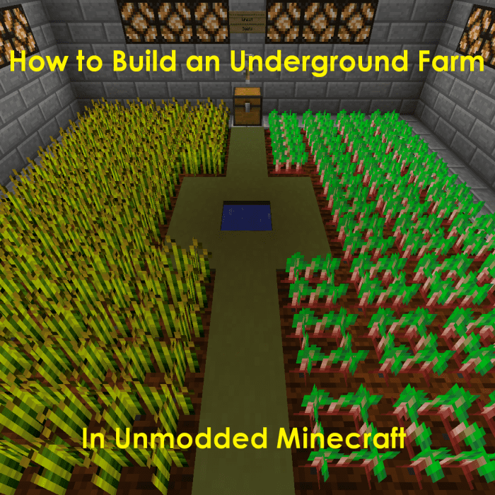 Learn the ins and outs of building an underground farm in "Minecraft"!
