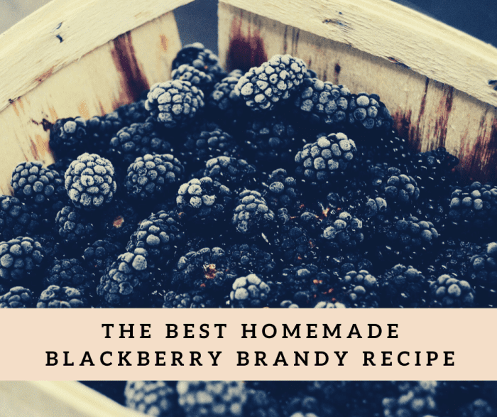 The Best Homemade Blackberry Brandy Recipe Delishably