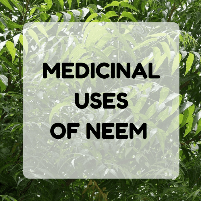 Benefits and Uses of Neem Face Masks and Rasam Recipe RemedyGrove