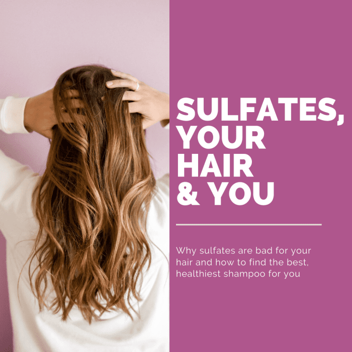 Is Sulfate Bad For Your Hair Effects Of Sulfates In Shampoo Bellatory 6347