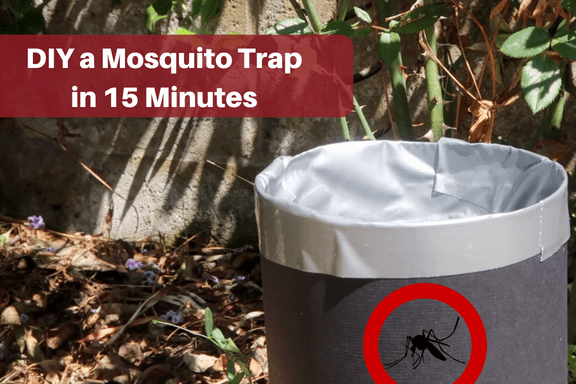 How to Make a Homemade Mosquito Trap - Dengarden