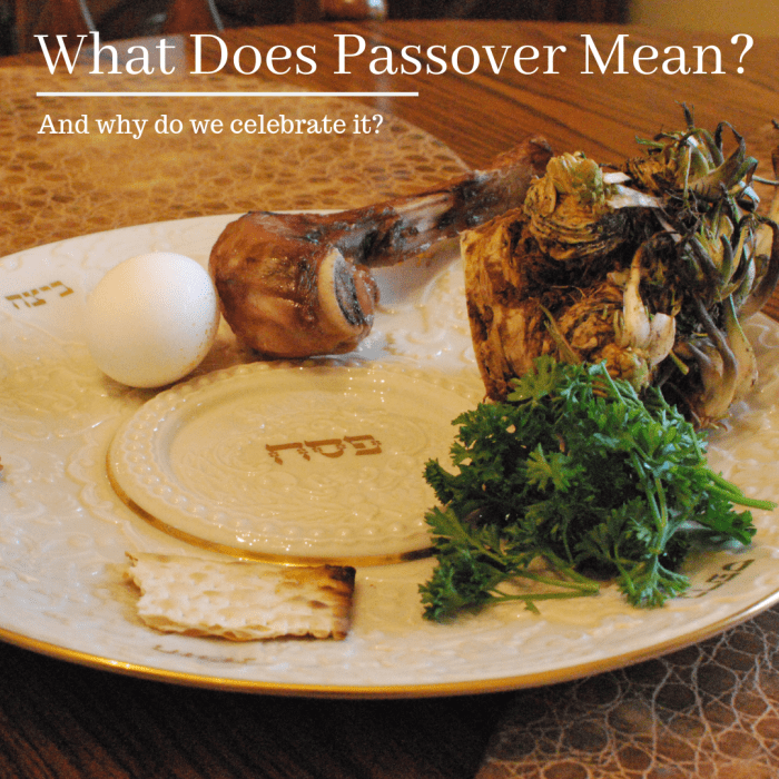 Why Do Jews Celebrate Passover? Holidappy