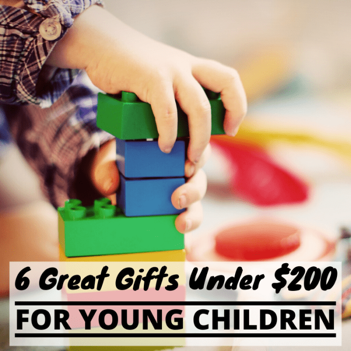 These six gifts may be pricier than some, but they're also larger, higher-quality, and more durable. In our experience, toys like these promote more educational and engaging play.