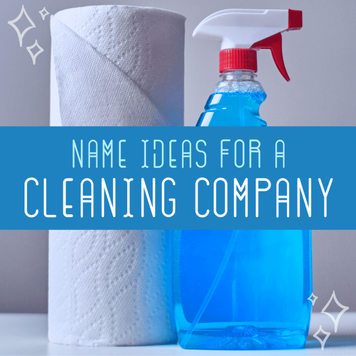 50 Business Names For Cleaning Companies ToughNickel