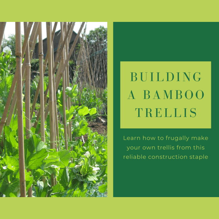 How To Build A Bamboo Garden Trellis Frugally Dengarden