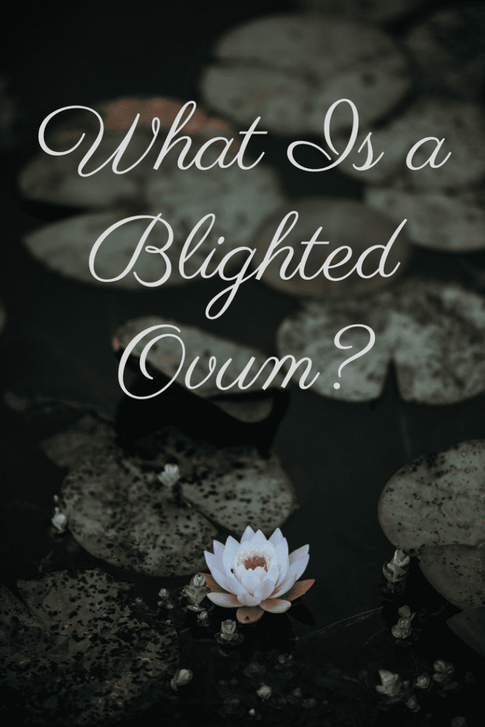 A blighted ovum can be difficult to diagnose, so don't hesitate to seek a second opinion before terminating your pregnancy after being diagnosed.
