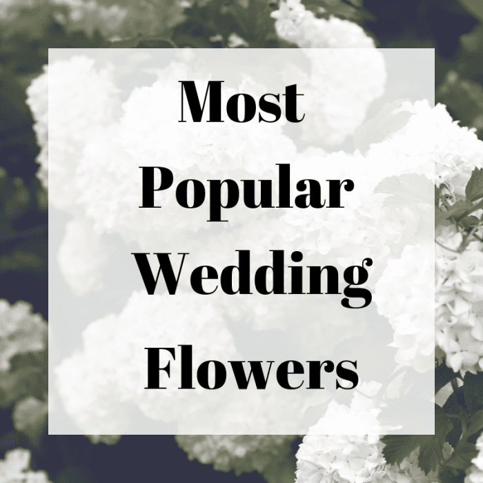 10 of the Most Popular Wedding Flowers, and What You Should Know Before