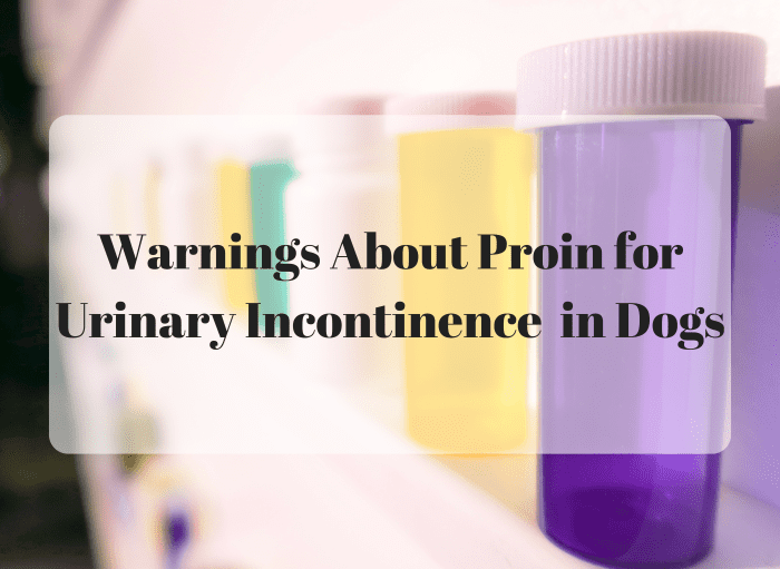 a-warning-about-proin-for-dogs-with-urinary-incontinence-pethelpful